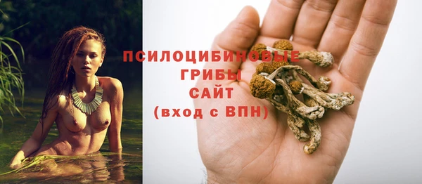 трава Горняк