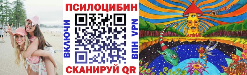Псилоцибиновые грибы прущие грибы  Купить  Пыталово 